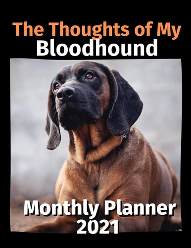 The Thoughts of My Bloodhound Monthly Planner 2021