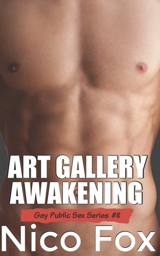 Art Gallery Awakening A Gay Public Sex Story