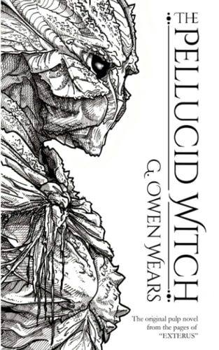 The Pellucid Witch