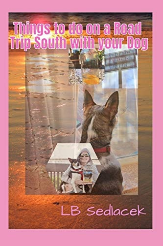 Things to Do on a Road Trip South with Your Dog