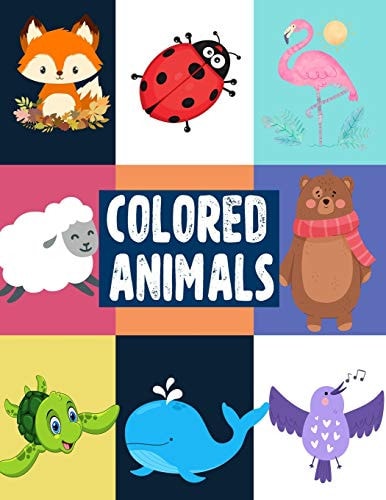 Colored Animals Fun Color Names & Animal Names Book To Learn The Name of Animals and Colors at The Same Time