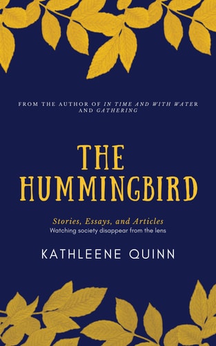 The Hummingbird Stories, Essays, and Articles (Watching Society Disappear from the Lens)