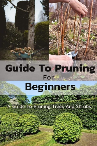 Guide To Pruning For Beginners A Guide To Pruning Trees And Shrubs