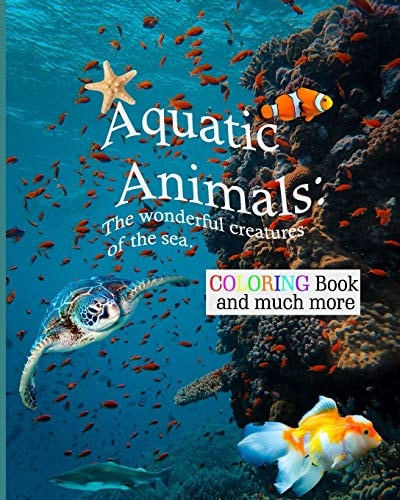 Aquatic Animals The Wonderful Creatures of the Sea