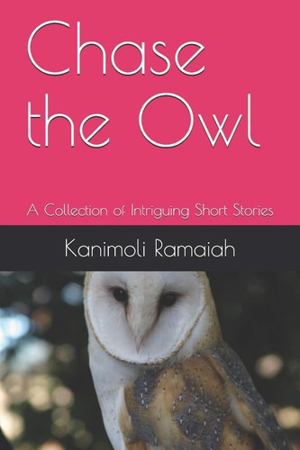 Chase the Owl A Collection of Intriguing Short Stories