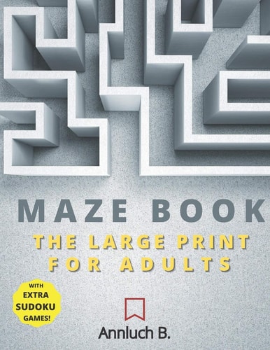 Maze Book The Large Print For Adults