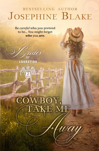 Cowboy, Take Me Away