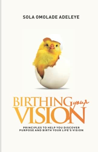 Birthing Your Vision Proven Steps to Discover Purpose and Birth Your Life's Vision