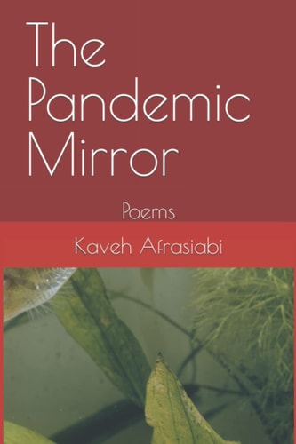 The Pandemic Mirror Poems