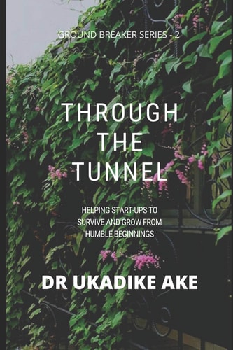 Through the Tunnel Helping Start-Ups Survive and Grow from Humble Beginnings