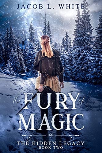 The Fury of Magic The Hidden Legacy: Book Two