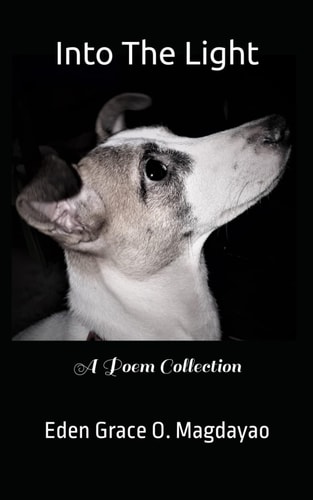 Into The Light A Poem Collection