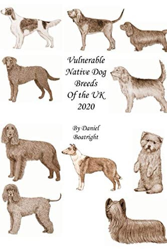 Vulnerable Native Dog Breeds Of the UK 2020