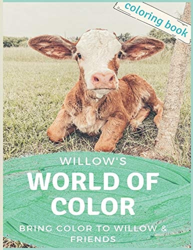 Willow's World of Color Willow's World