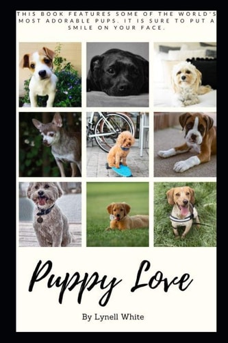 Puppy Love Meet the Puppy Academy