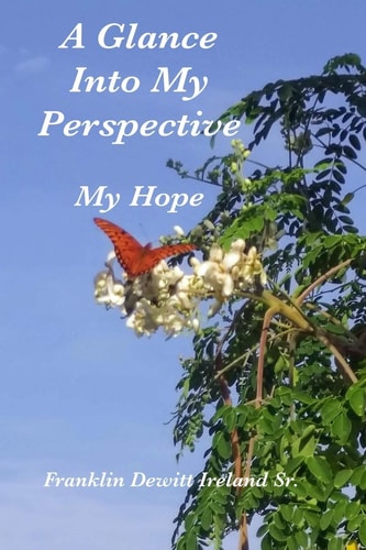 A Glance Into My Perspective My Hope