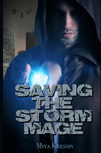 SAVING THE STORM MAGE.