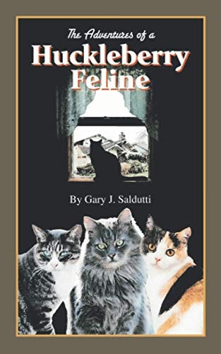 The Adventures of a Huckleberry Feline