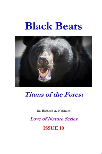 Black Bears: Titans of the Forest
