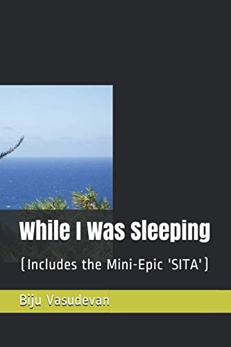 While I Was Sleeping (Includes the Mini-Epic 'SITA')