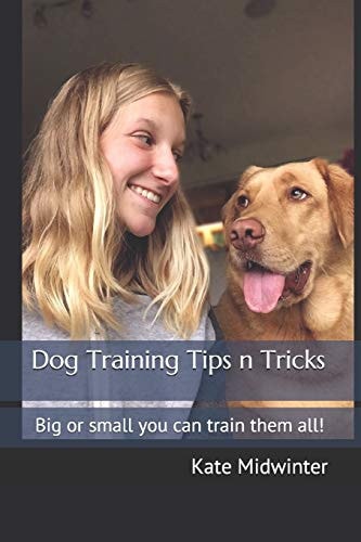 Dog Training Tips N Tricks Big Or Small You Can Train Them All!
