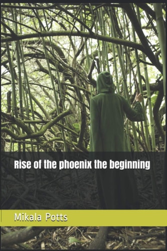 Rise of the Phoenix the Beginning