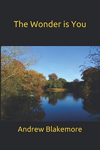 The Wonder Is You