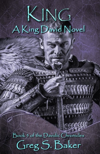 King A King David Novel