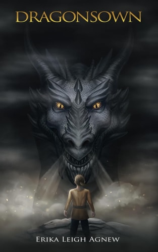 Dragonsown Surface