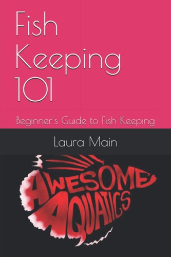 Fish Keeping 101 Beginner's Guide to Fish Keeping