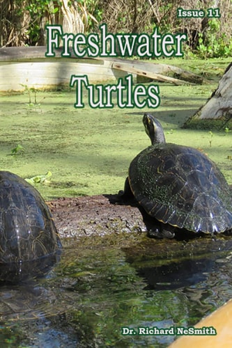 Freshwater Turtles