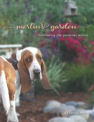 Merlin's Garden Cultivating the Gardener Within