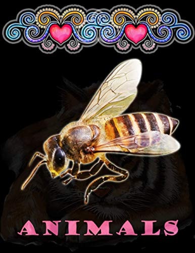 Animals 100 Beautiful Animals Designs for Stress Relief and Relaxation