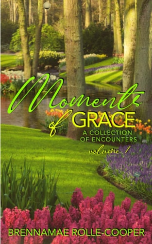 Moments of Grace A Collection of Encounters - Volume 1