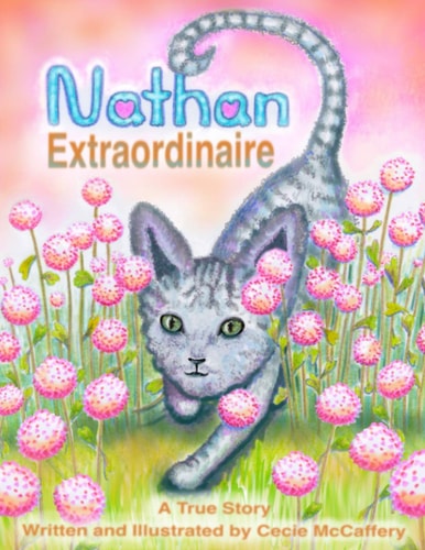 Nathan Extraordinaire A True Story