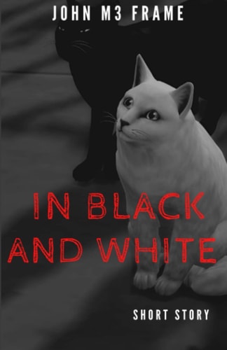 In Black and White Short Story