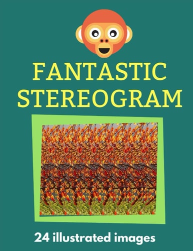 Fantastic Stereogram 24 Illustrated Images