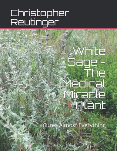 White Sage - The Medical Miracle Plant Cures Almost Everything