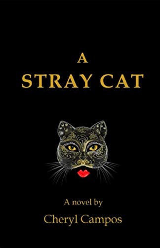 A Stray Cat
