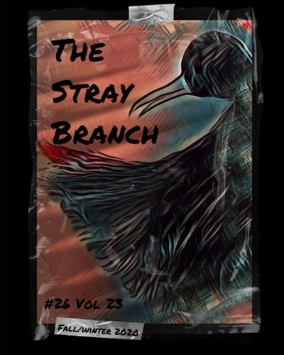 The Stray Branch Fall/Winter 2020
