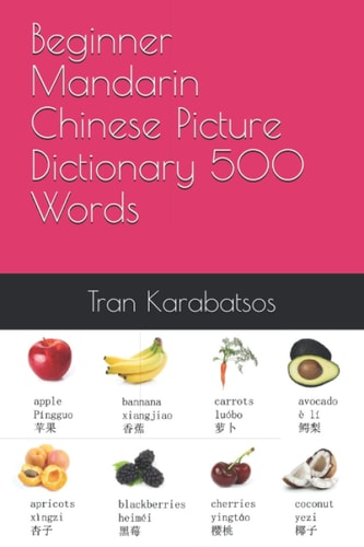 Beginner Mandarin Chinese Picture Dictionary 500 Words Introducing You To Mandarin Chinese