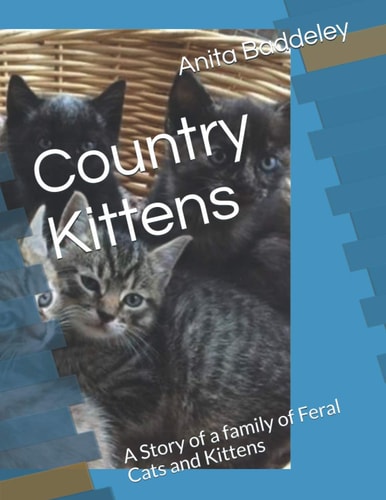 Country Kittens A Family of Feral Cats and Kittens