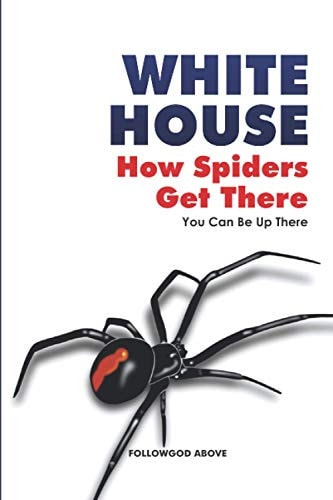 White House How Spiders Get There