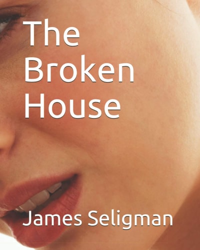 The Broken House