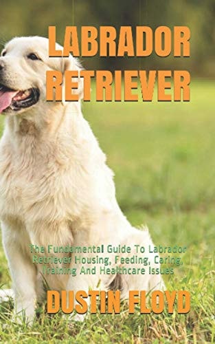 Labrador Retriever The Fundamental Guide To Labrador Retriever Housing, Feeding, Caring, Training And Healthcare Issues