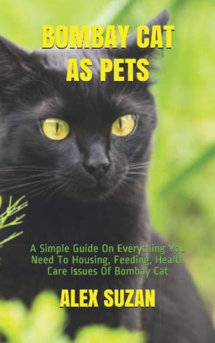 Bombay Cat as Pets A Simple Guide On Everything You Need To Housing, Feeding, Health Care Issues Of Bombay Cat