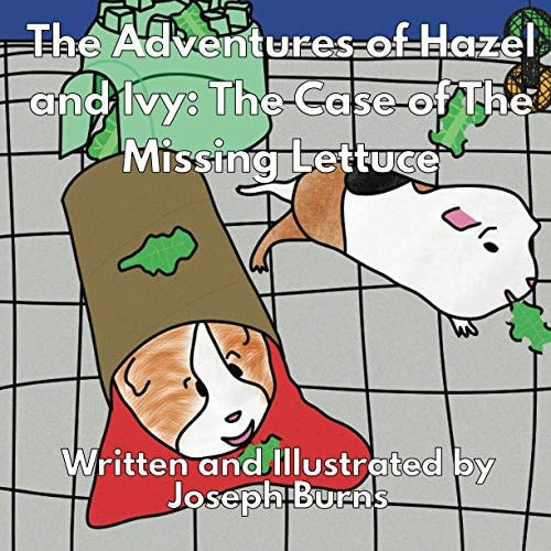 The Adventures of Hazel And Ivy The Case of The Missing Lettuce