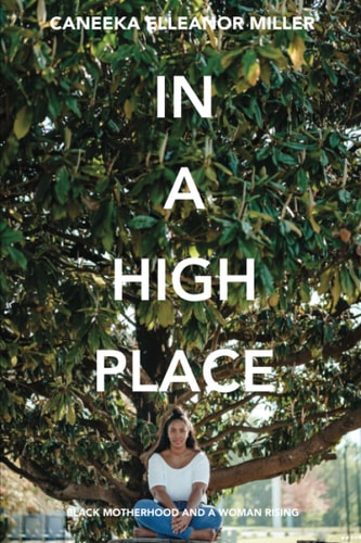 In A High Place Black Motherhood and A Woman Rising