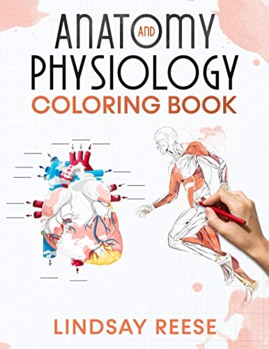 Anatomy and Physiology Coloring Book A Self-Test Human Anatomy Coloring Book for Adults, Teens, Doctors, Nurses and Students