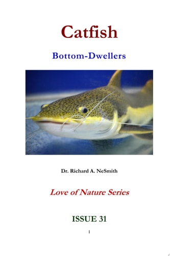 Catfish: Bottom-Dwellers